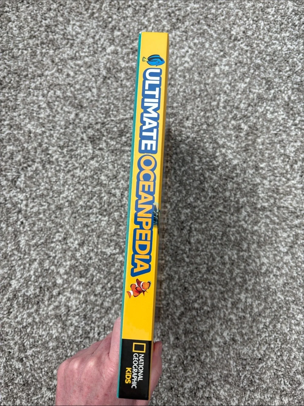 National Geographic Ocean-Pedia Kids Book - Blue & Yellow Cover